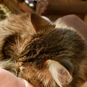 Meet your Posher, April